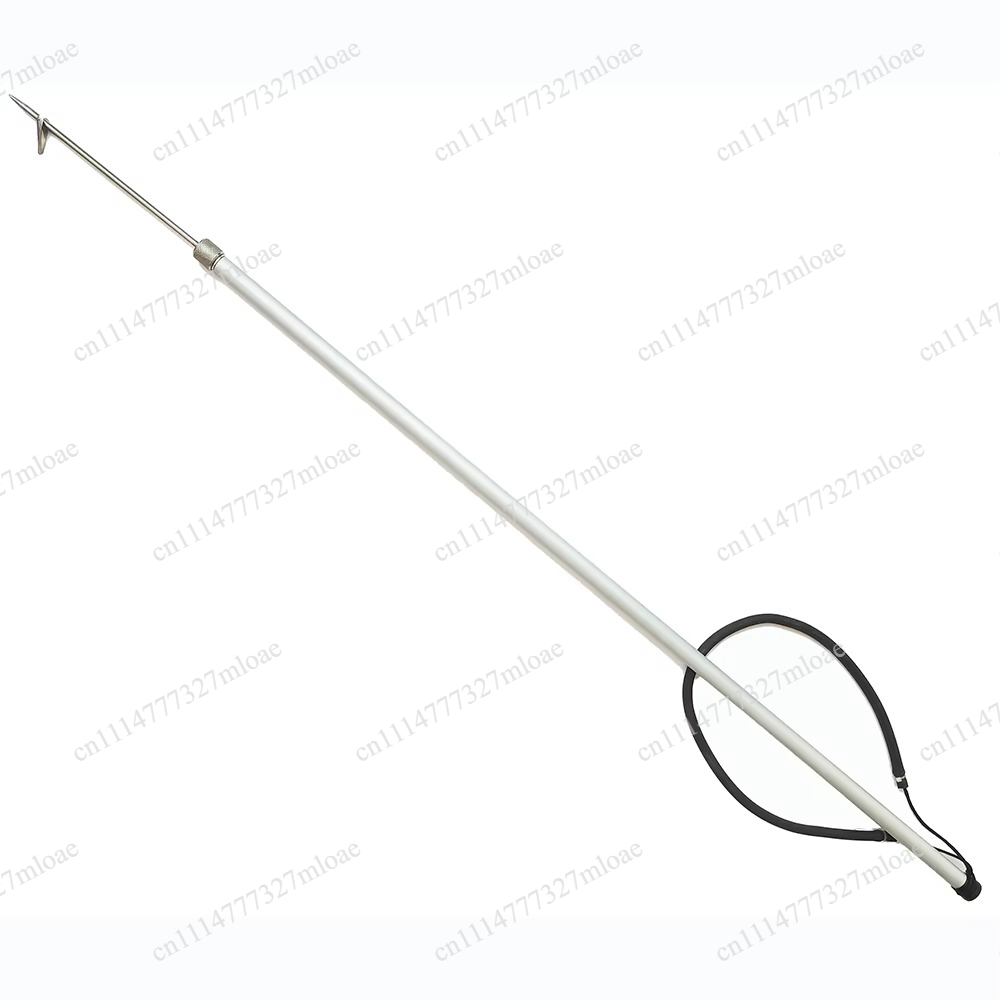 Asta da Pesca Subacquea Pieghe - Fishing Belt recensione e prezzo